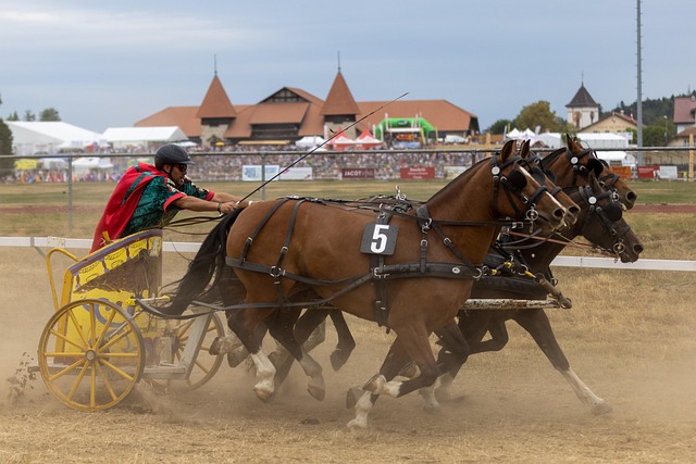 了出色的心 了出色的心